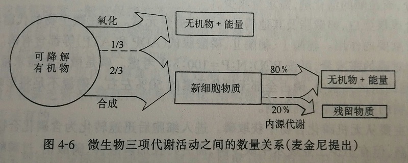 微生物代謝活動數(shù)量圖